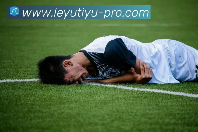 乐鱼体育平台生态图